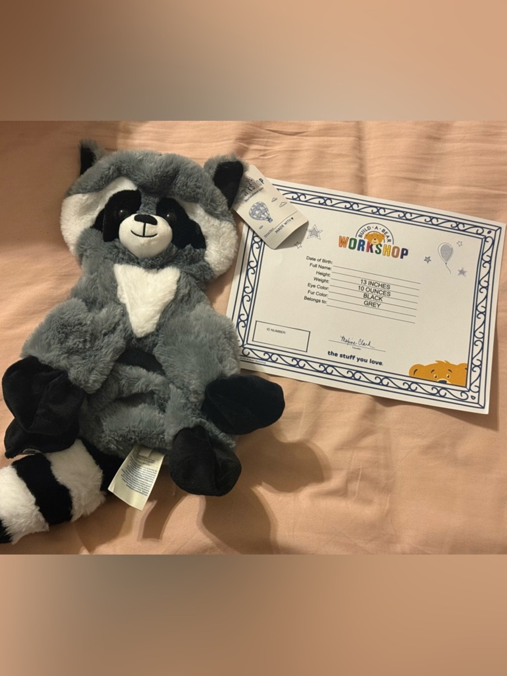 Unstuffed Build-A-Bear Raccoon with Blank Certificate